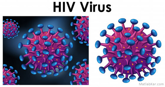 تجزیه و تحلیل منشا ویروس نقص ایمنی بدن انسان (ویروس HIV و ویروس SIV) در متلب